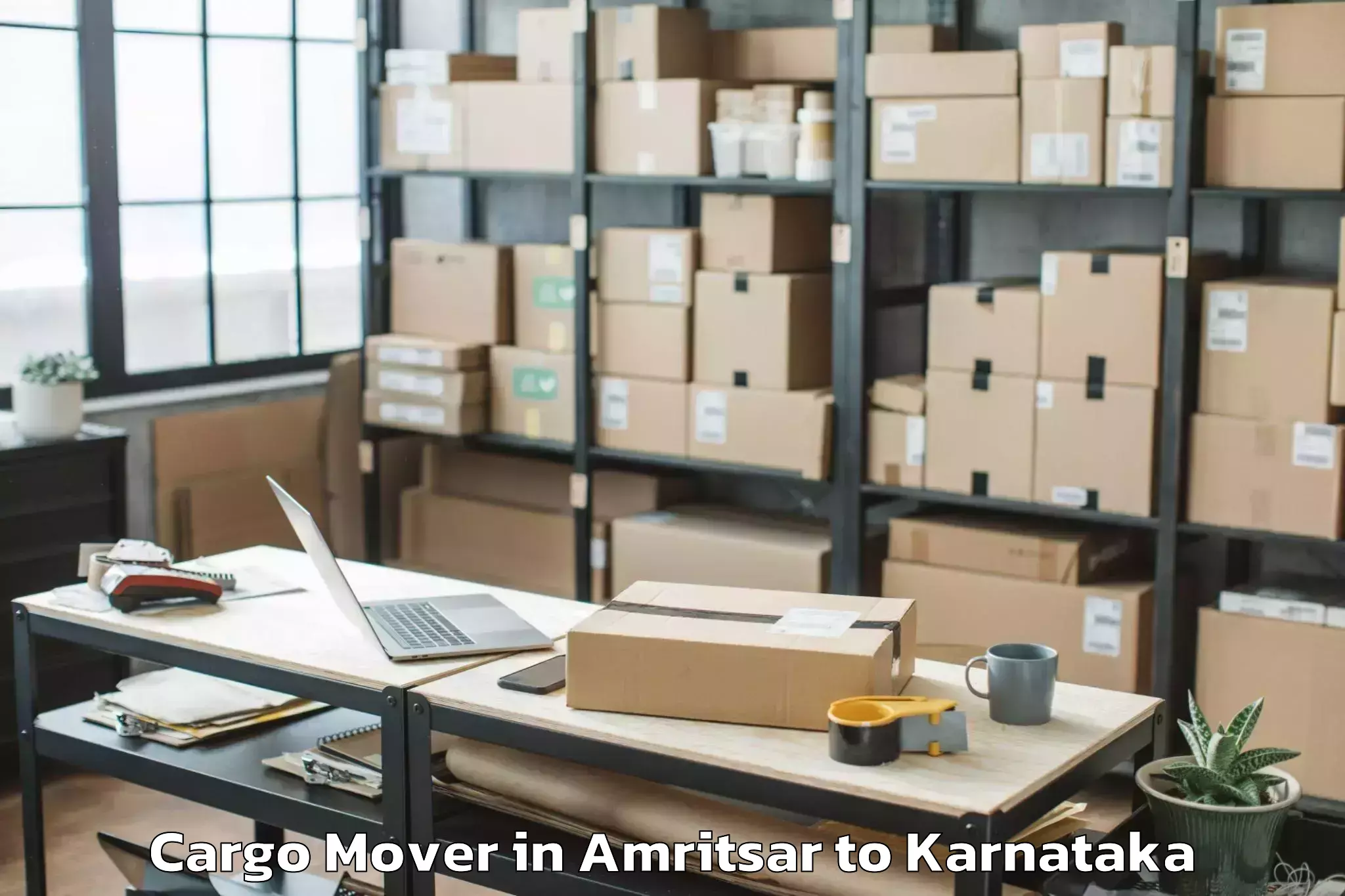 Book Amritsar to Davangere University Davangere Cargo Mover